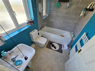 Picture 10